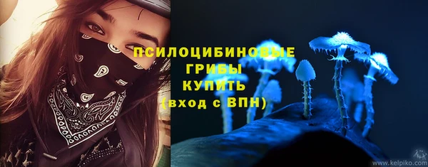 спайс Баксан