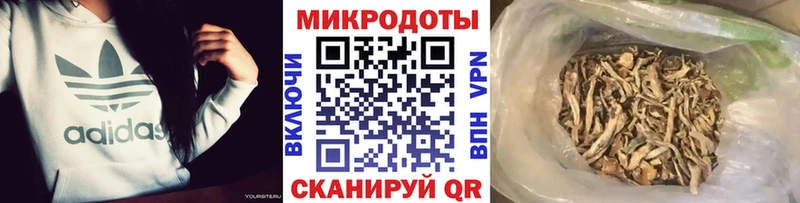 Псилоцибиновые грибы GOLDEN TEACHER  Новоуральск 